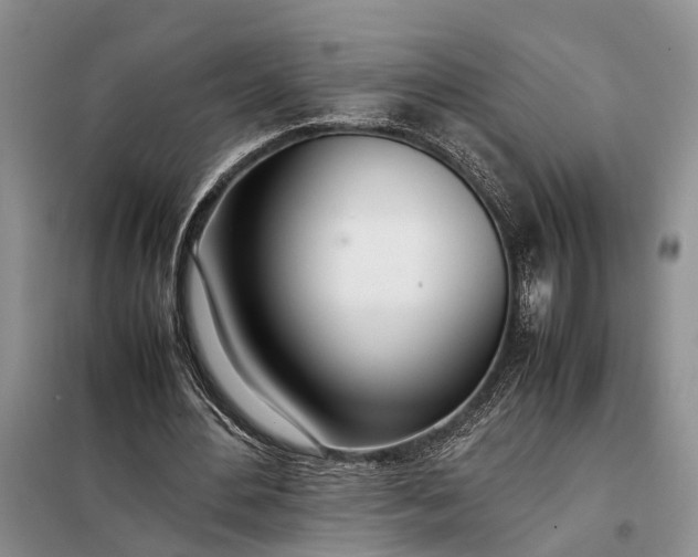 X0000097980484200804071128