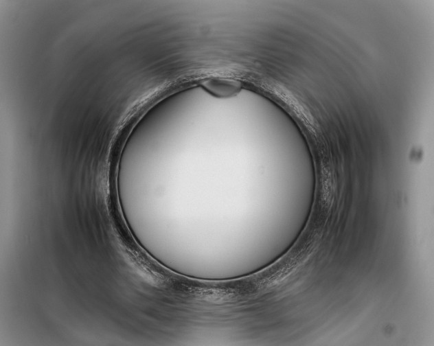 X0000097980486200804071128