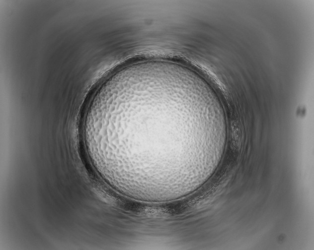 X0000097980487200804071128