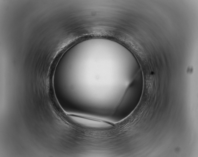 X0000097980488200804071128