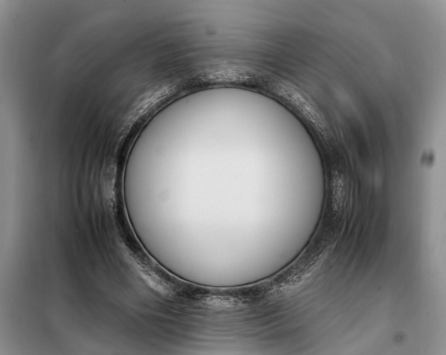 X0000097980490200804071128