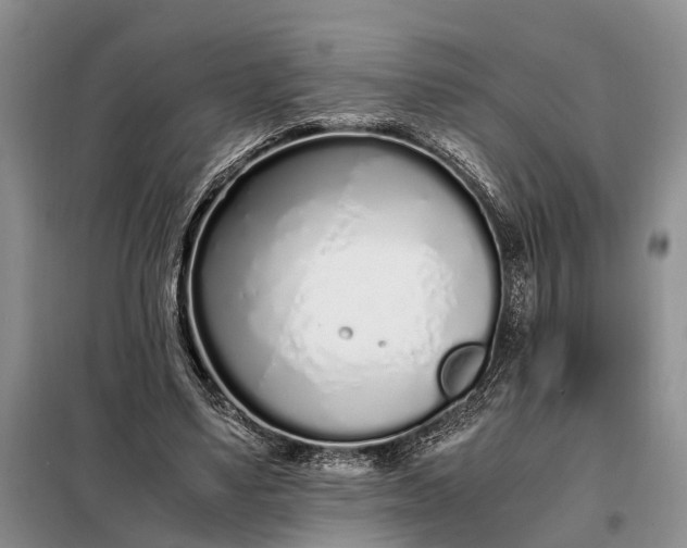 X0000097980491200804071128