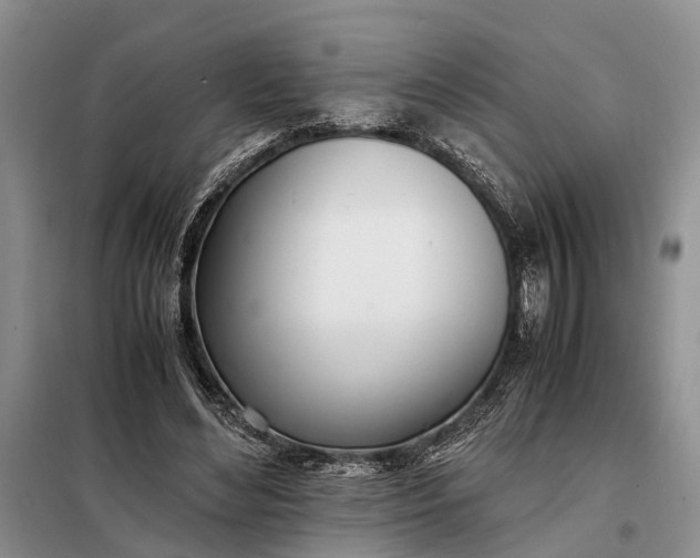 X0000097980492200804071128