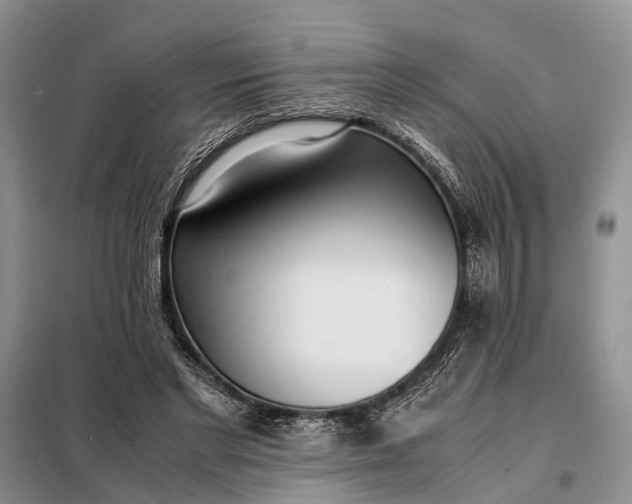 X0000097980493200804071128
