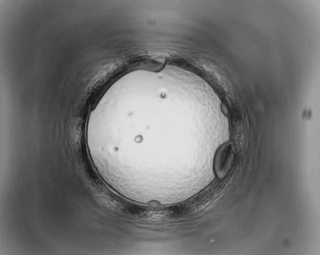 X0000097980495200804071128
