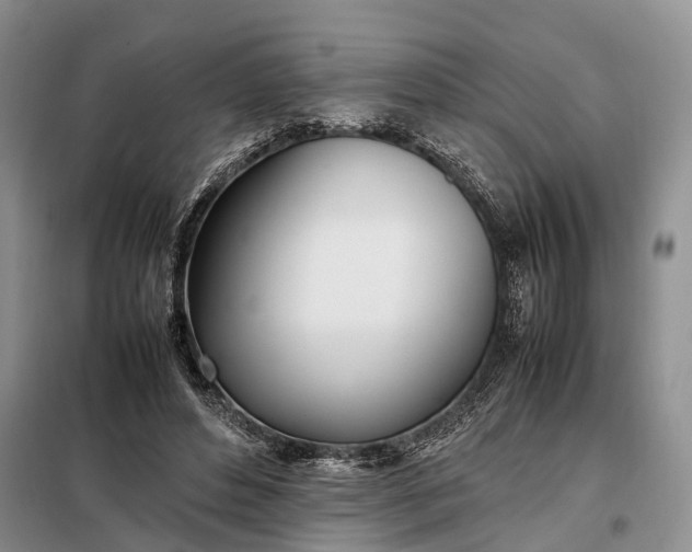 X0000097980496200804071128