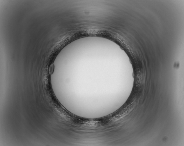 X0000097980497200804071128
