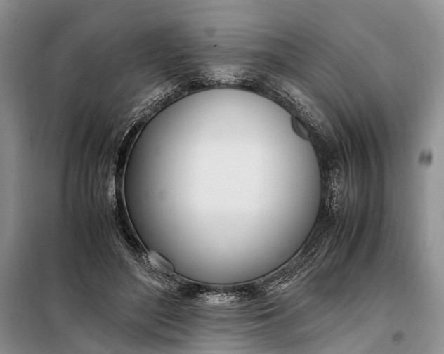 X0000097980500200804071128