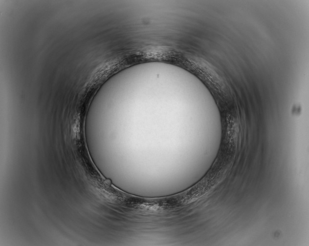 X0000097980502200804071128