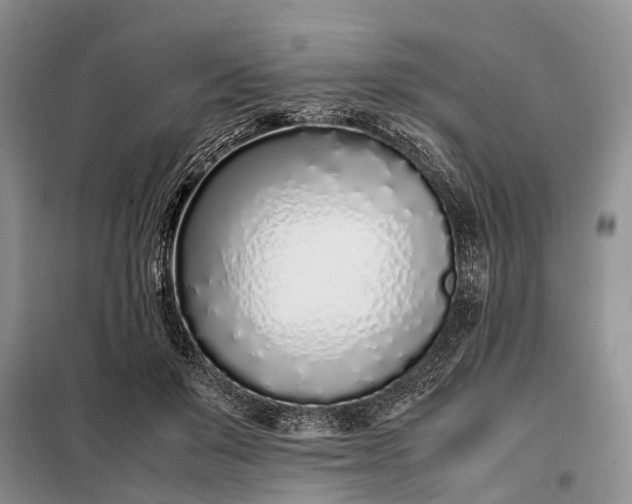 X0000097980503200804071128