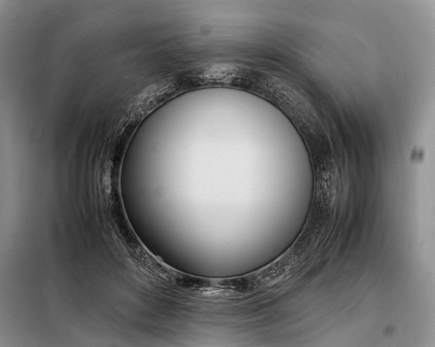 X0000097980504200804071128