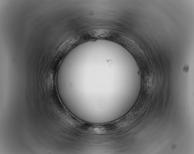 X0000097980506200804071128