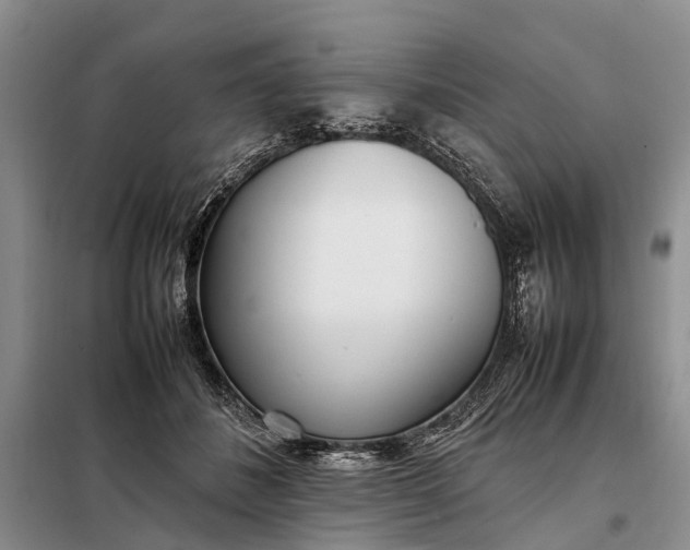 X0000097980508200804071128