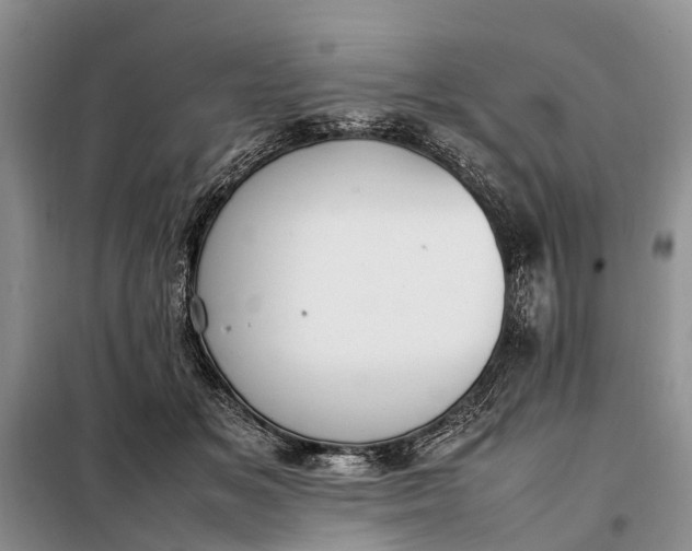 X0000097980509200804071128