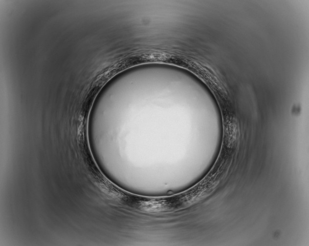 X0000097980511200804071128