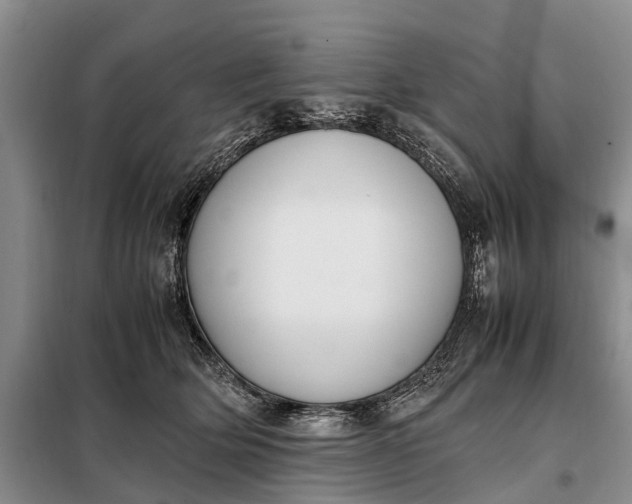X0000097980514200804071128