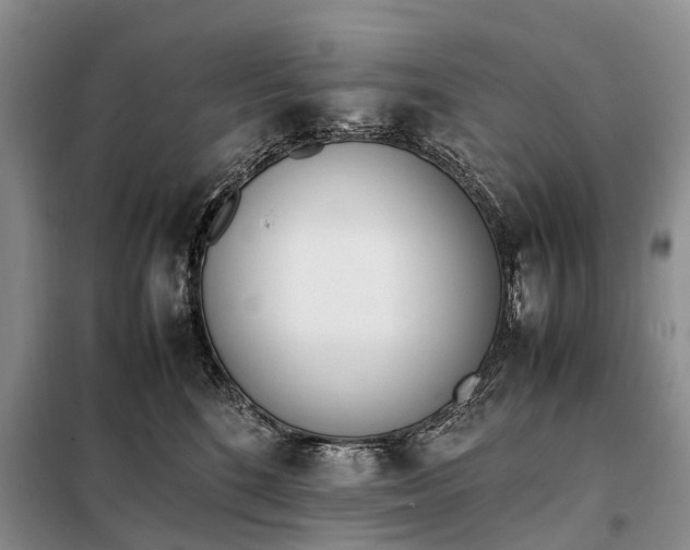 X0000097980520200804071128