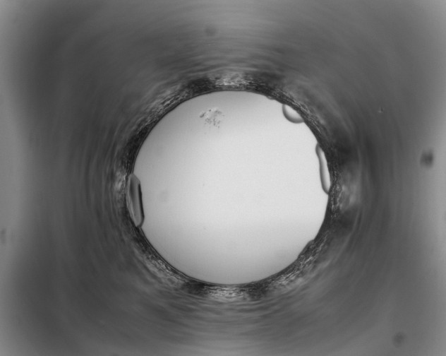 X0000097980521200804071128