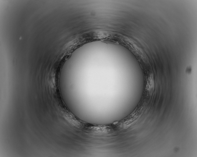 X0000097980524200804071128