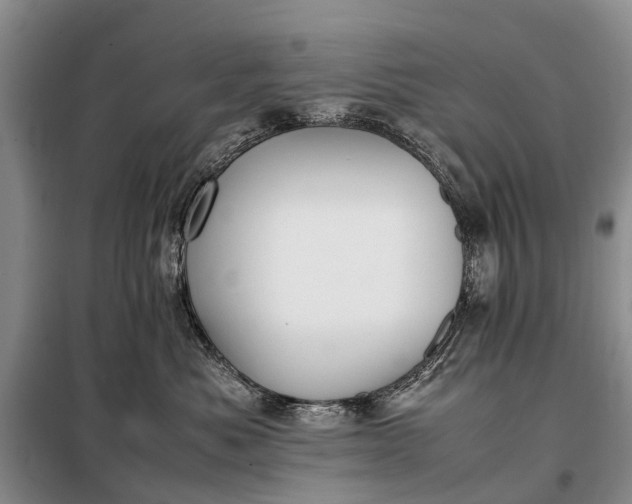 X0000097980525200804071128