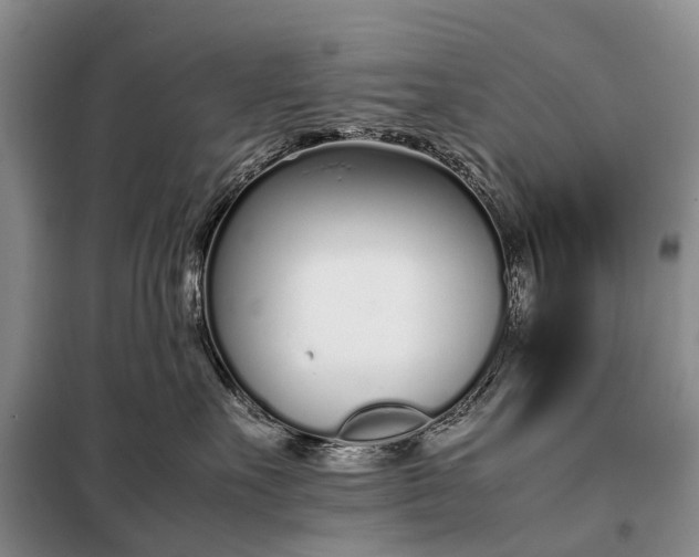 X0000097980527200804071128