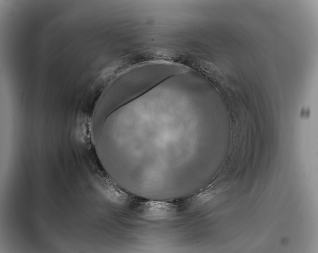 X0000097980528200804071128