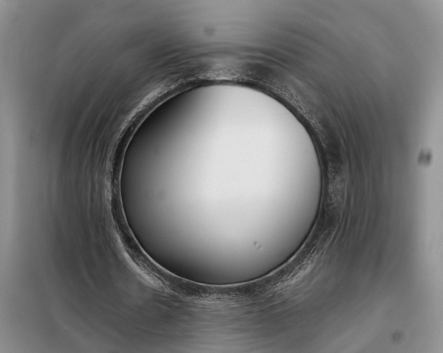 X0000097980530200804071127
