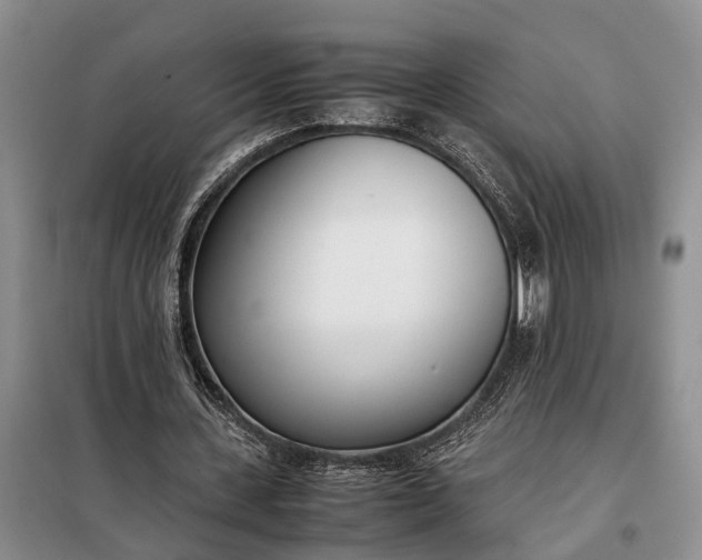 X0000097980531200804071127