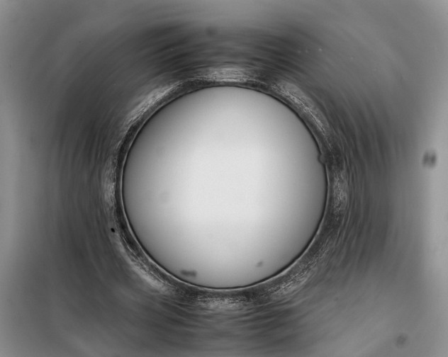 X0000097980533200804071127