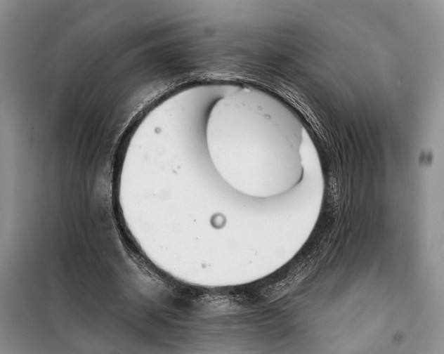 X0000097980534200804071127