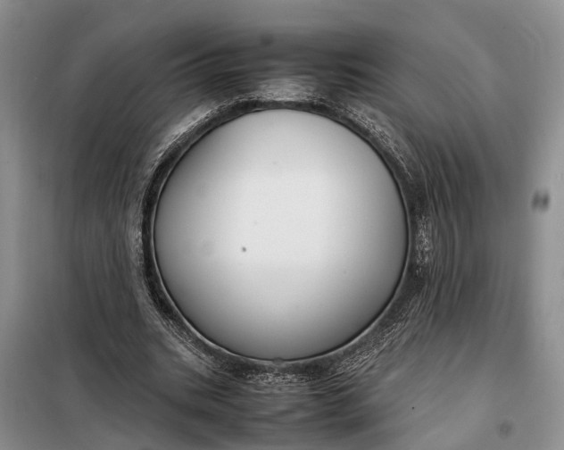 X0000097980535200804071127