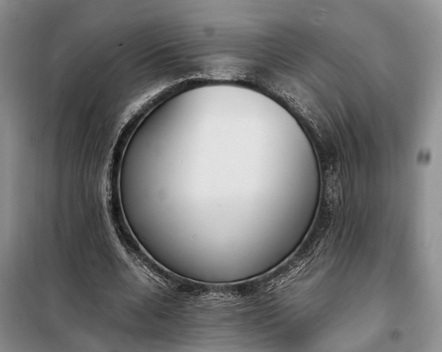X0000097980536200804071127