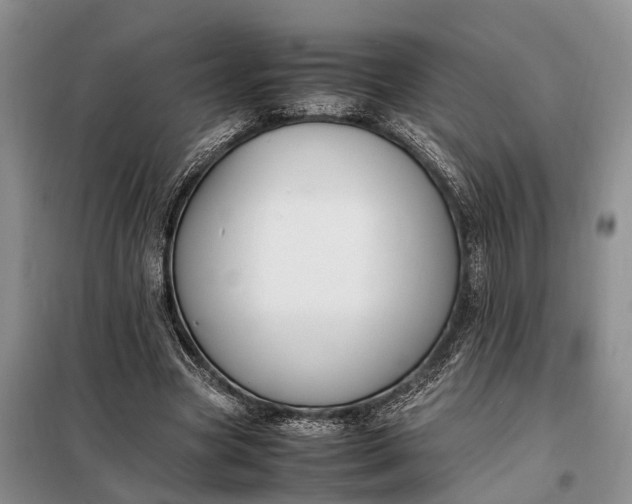 X0000097980537200804071127