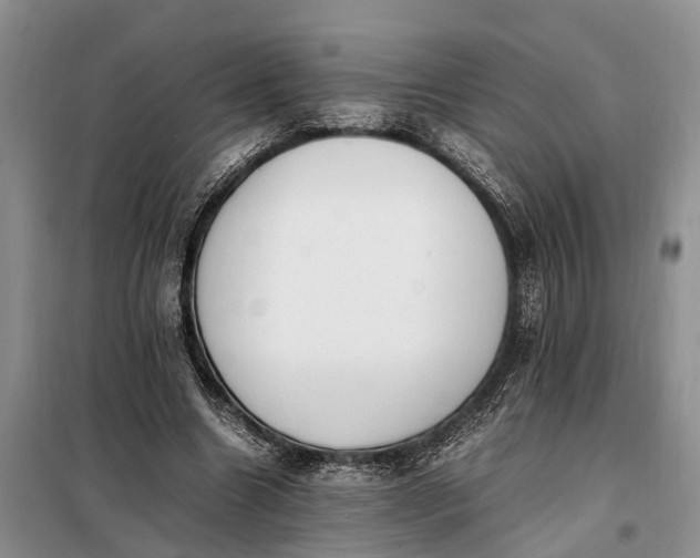 X0000097980538200804071127