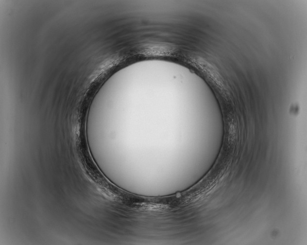X0000097980539200804071127