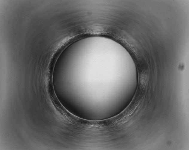 X0000097980540200804071127