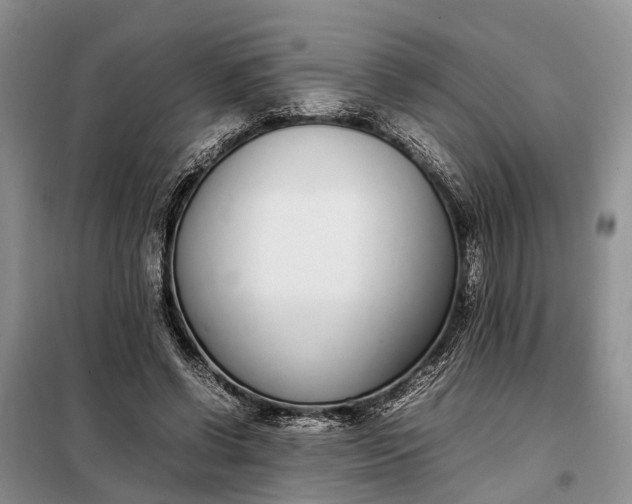 X0000097980542200804071127