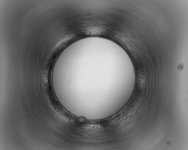 X0000097980543200804071127