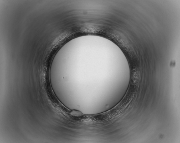 X0000097980544200804071127