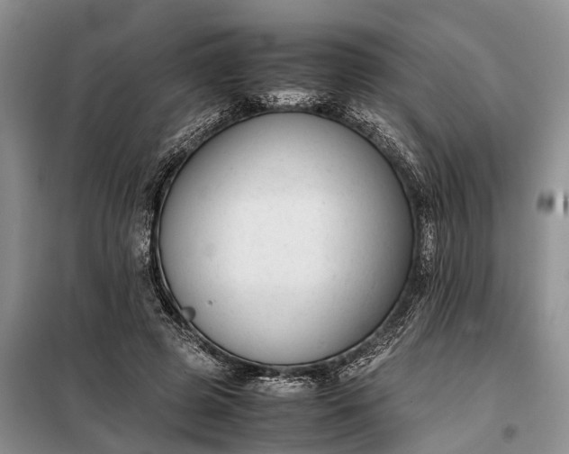 X0000097980545200804071127