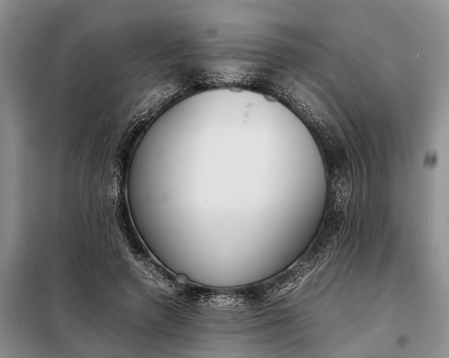 X0000097980546200804071127