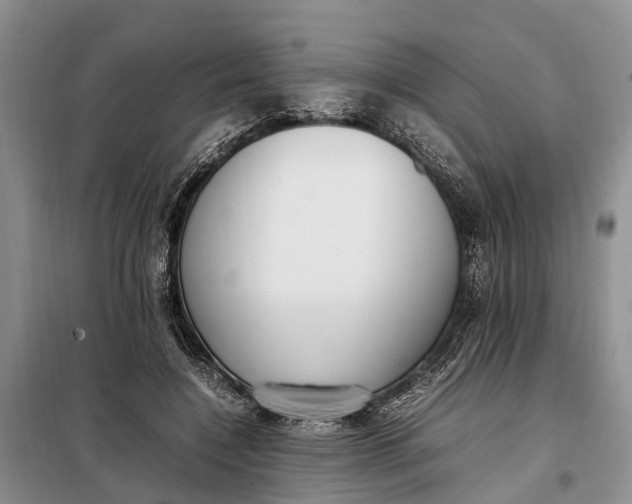 X0000097980548200804071127