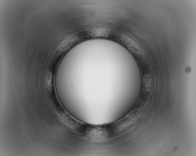 X0000097980550200804071127