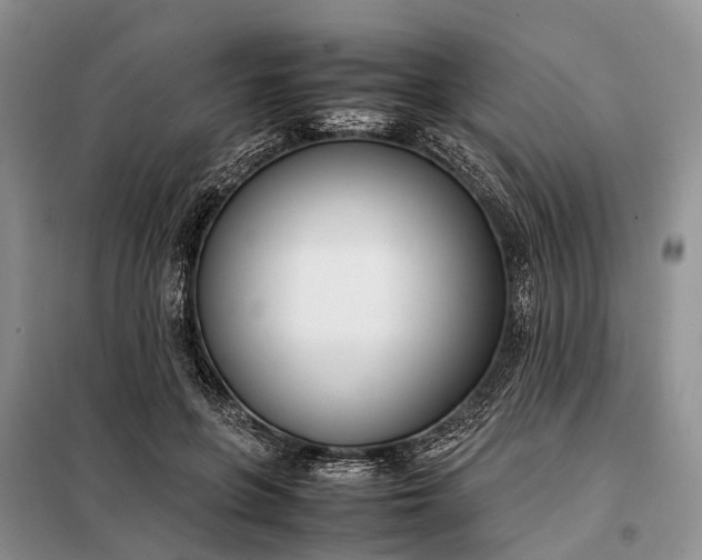 X0000097980551200804071127