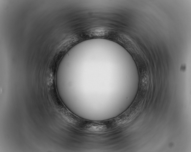 X0000097980555200804071127