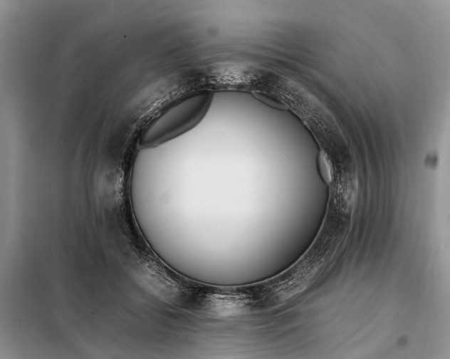 X0000097980556200804071127