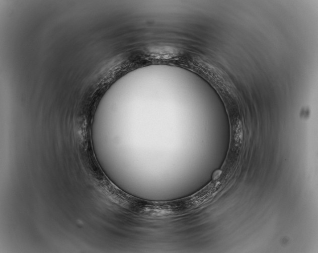 X0000097980559200804071127