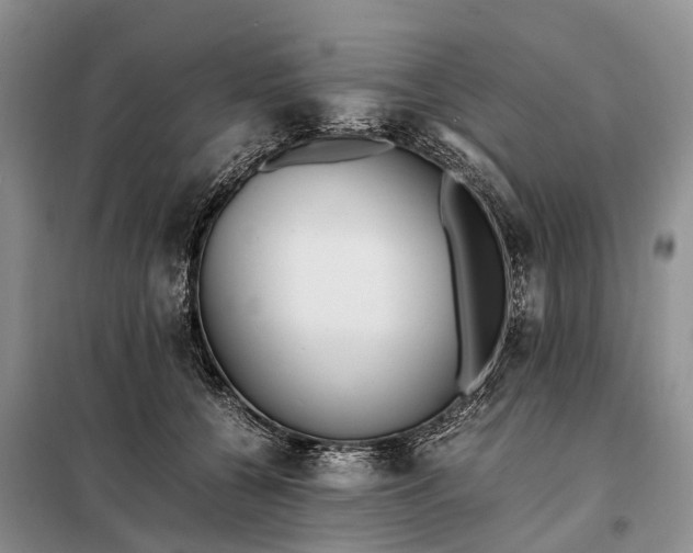 X0000097980560200804071127