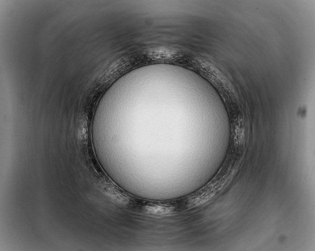 X0000097980561200804071127