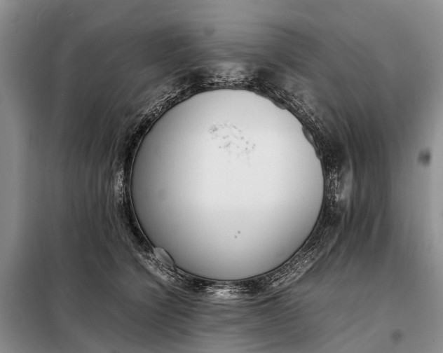 X0000097980564200804071128